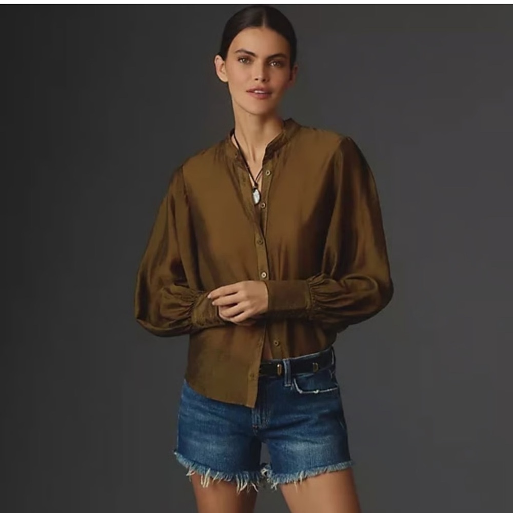 BY ANTHROPOLOGIE East West Long Sleeve Sheer Blouse Brown Balloon Sleeve Small